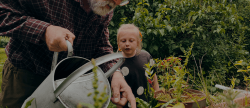 CTA Banner Background